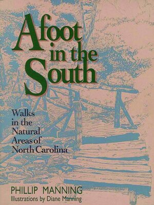 Afoot in the South - ebook